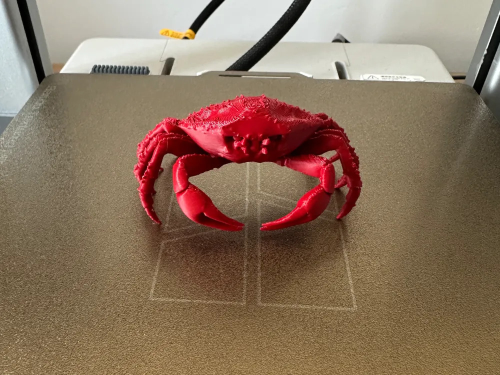 Cua Hoàng Đế 3D